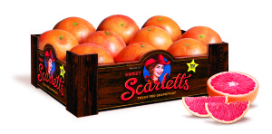 #Scarletts #grapefruit #healthy #breakfast 