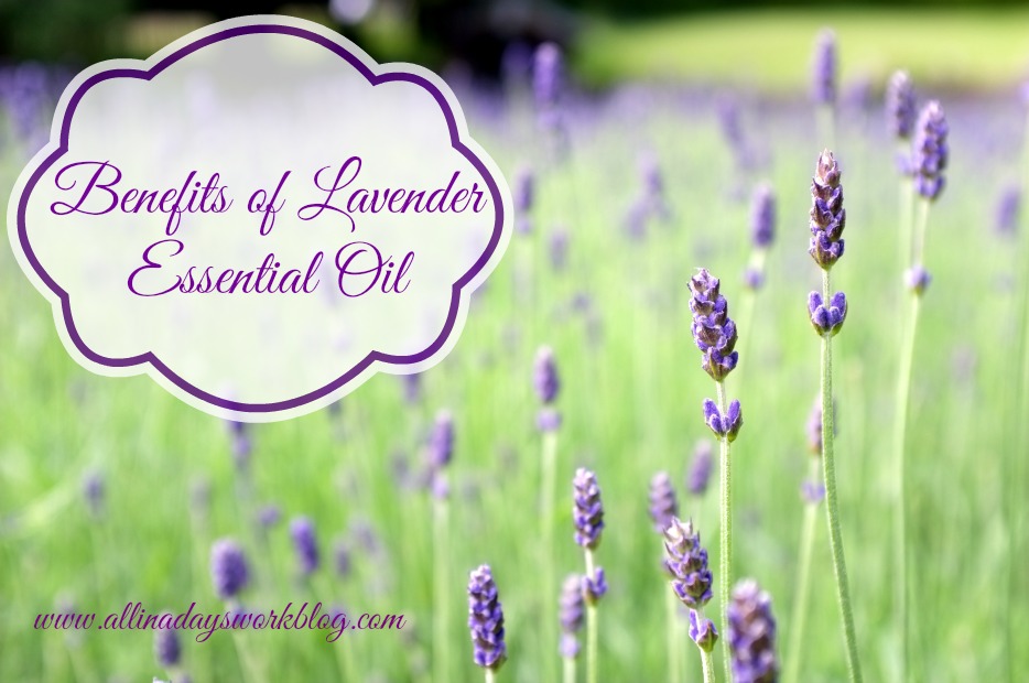 Benefits_of_lavender_essential_oil
