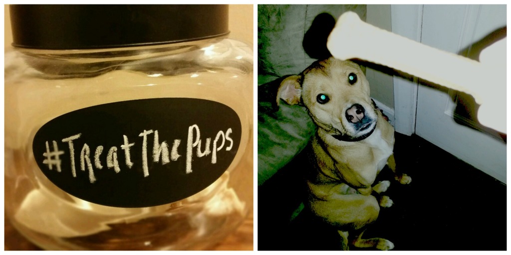 treat_the_pups_collage